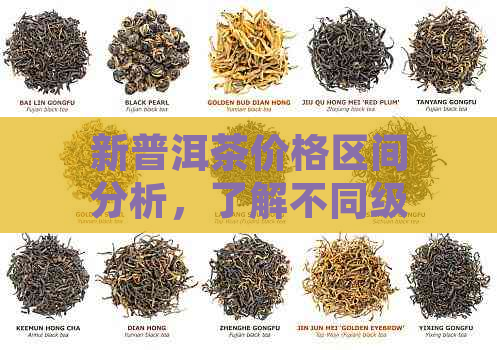 新普洱茶价格区间分析，了解不同级别茶叶的价位及购买建议