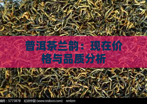 普洱茶兰韵：现在价格与品质分析