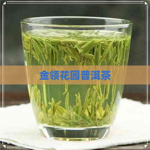 金领花园普洱茶