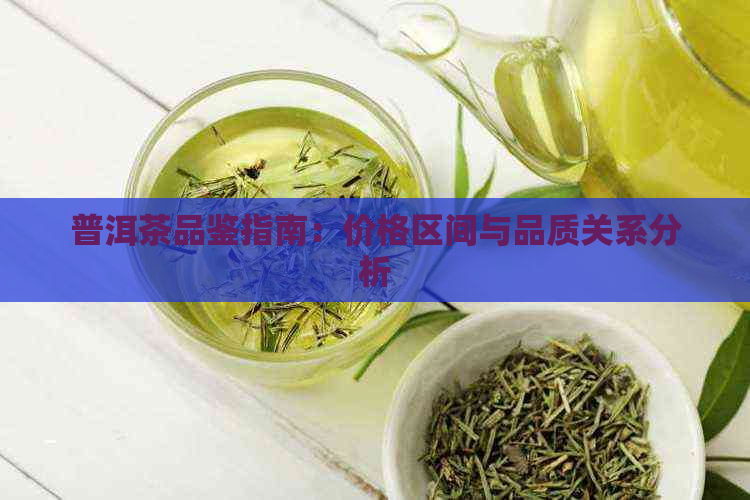 普洱茶品鉴指南：价格区间与品质关系分析