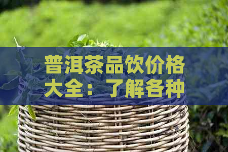 普洱茶品饮价格大全：了解各种、等级、年份的茶叶价格及购买建议