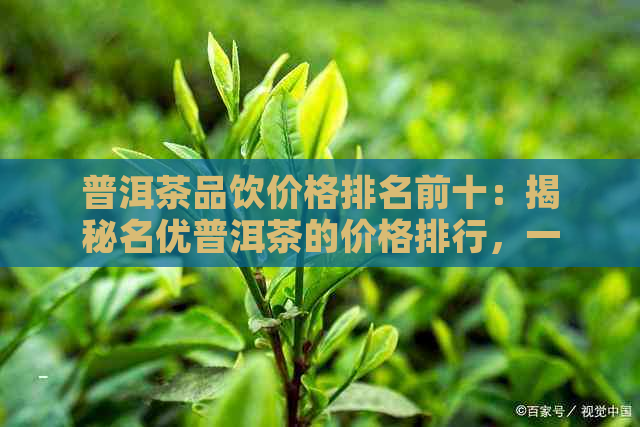 普洱茶品饮价格排名前十：揭秘名优普洱茶的价格排行，一览无余！