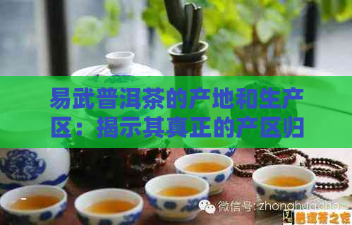 易武普洱茶的产地和生产区：揭示其真正的产区归属