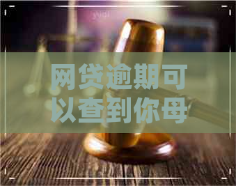 网贷逾期可以查到你母吗