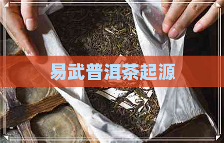 易武普洱茶起源