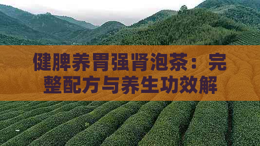 健脾养胃强肾泡茶：完整配方与养生功效解析