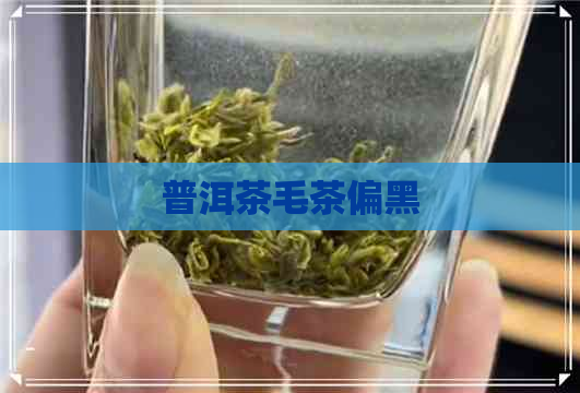 普洱茶毛茶偏黑