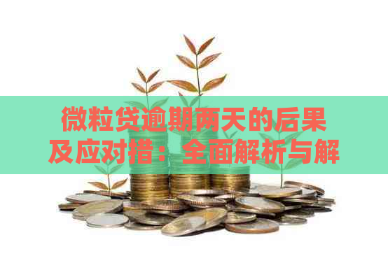 微粒贷逾期两天的后果及应对措：全面解析与解答用户关心的问题