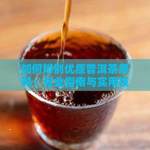 如何辨别优质普洱茶原料：专业指南与实用技巧