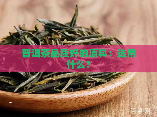 普洱茶品质好的原料：选用什么？