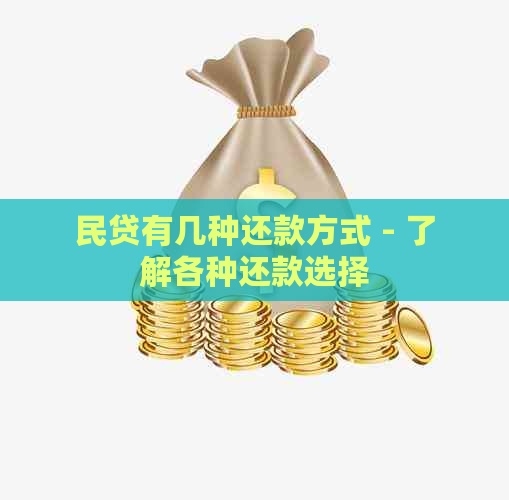 民贷有几种还款方式 - 了解各种还款选择