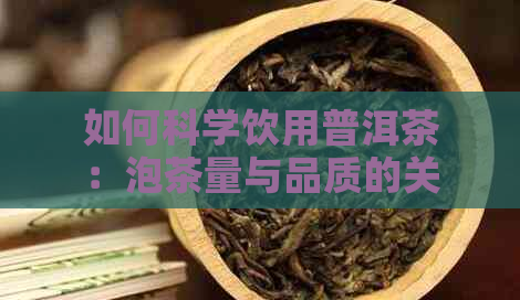 如何科学饮用普洱茶：泡茶量与品质的关系探讨