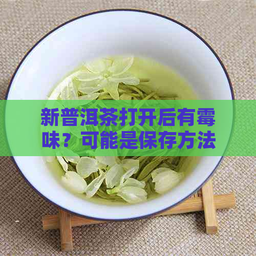 新普洱茶打开后有霉味？可能是保存方法不当！