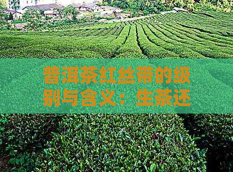 普洱茶红丝带的级别与含义：生茶还是熟茶？与黄丝带有何区别？