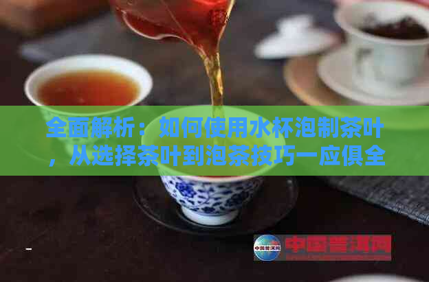 全面解析：如何使用水杯泡制茶叶，从选择茶叶到泡茶技巧一应俱全！