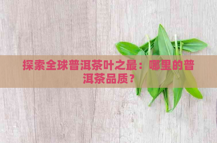 探索全球普洱茶叶之最：哪里的普洱茶品质？