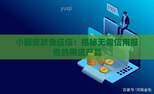 小额贷款免：揭秘无需信用报告的网贷产品