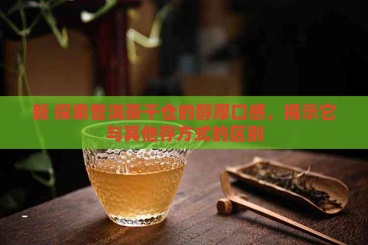 新 探索普洱茶干仓的醇厚口感，揭示它与其他存方式的区别