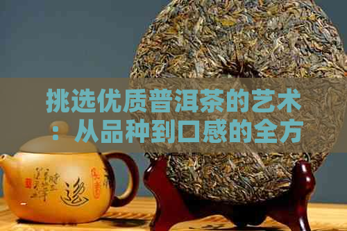 挑选优质普洱茶的艺术：从品种到口感的全方位指南