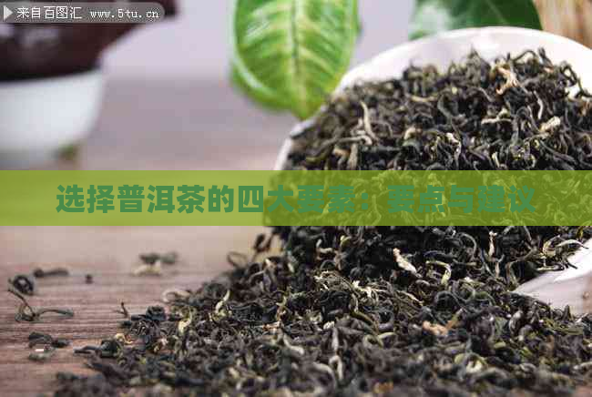 选择普洱茶的四大要素：要点与建议