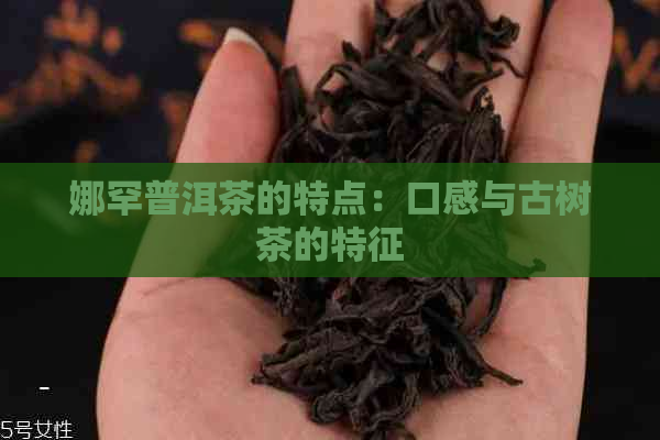 娜罕普洱茶的特点：口感与古树茶的特征