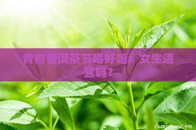 青柑普洱茶节喝好吗：女生适宜吗？