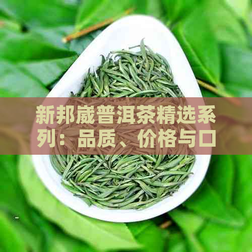 新邦崴普洱茶精选系列：品质、价格与口感的完美融合