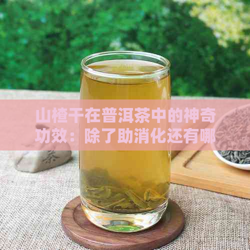 山楂干在普洱茶中的神奇功效：除了助消化还有哪些好处？