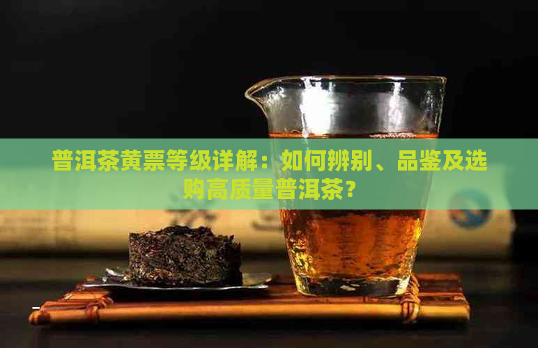 普洱茶黄票等级详解：如何辨别、品鉴及选购高质量普洱茶？