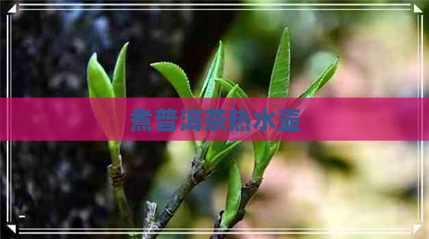 煮普洱茶热水壶