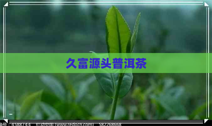 久富源头普洱茶