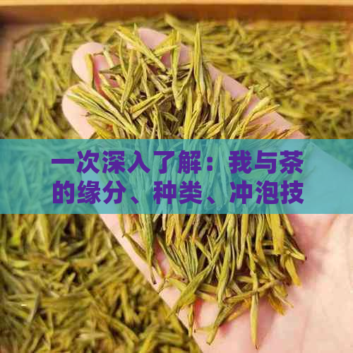 一次深入了解：我与茶的缘分、种类、冲泡技巧以及品饮体验的全面探讨