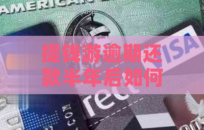 提钱游逾期还款半年后如何协商解决？全面了解协商还款方法和注意事项