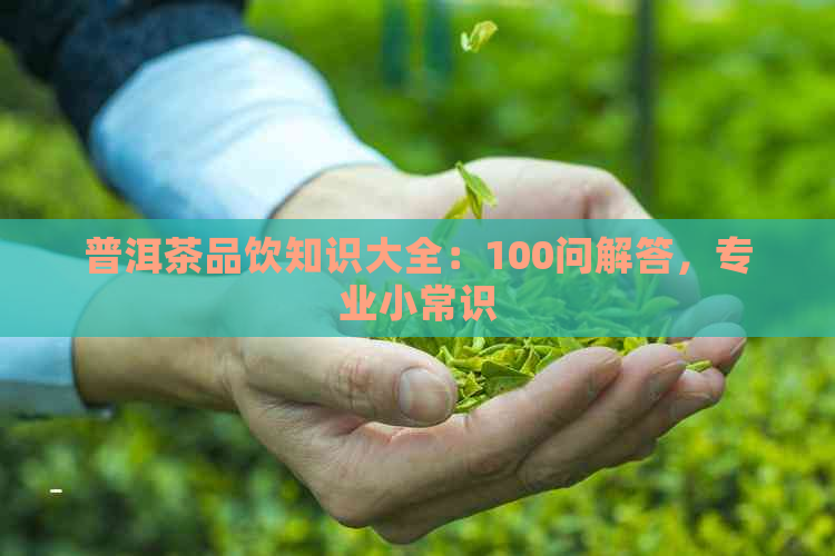 普洱茶品饮知识大全：100问解答，专业小常识