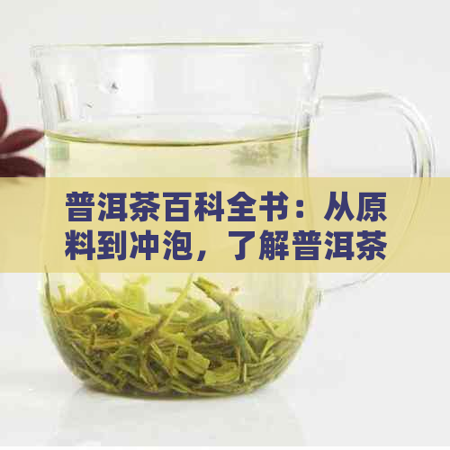 普洱茶百科全书：从原料到冲泡，了解普洱茶的全方位知识