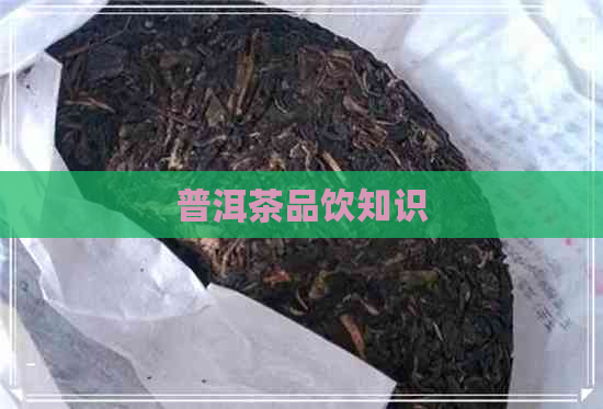 普洱茶品饮知识