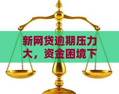 新网贷逾期压力大，资金困境下如何纾解？