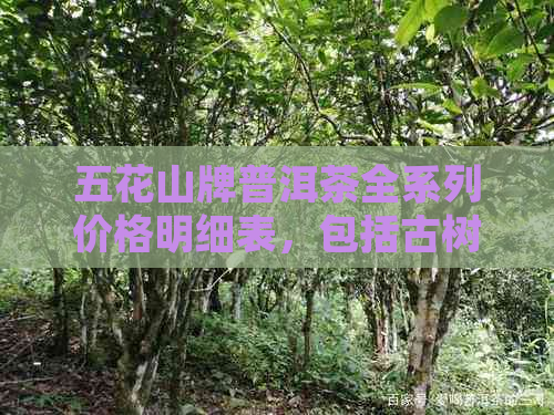 五花山牌普洱茶全系列价格明细表，包括古树茶、生茶和熟茶等各类茶叶