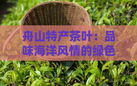 舟山特产茶叶：品味海洋风情的绿色宝藏