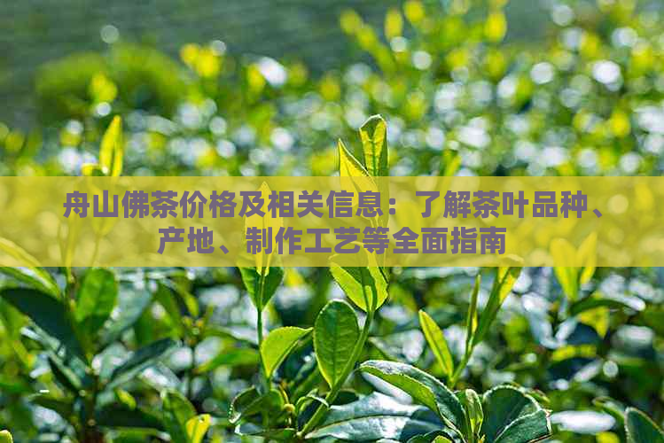 舟山佛茶价格及相关信息：了解茶叶品种、产地、制作工艺等全面指南