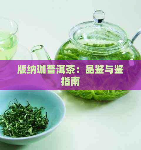 版纳珈普洱茶：品鉴与鉴指南