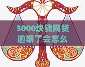 3000块钱网贷逾期了会怎么样？如何处理？收费情况如何？能立案吗？