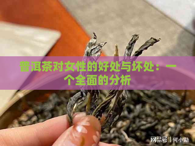 普洱茶对女性的好处与坏处：一个全面的分析