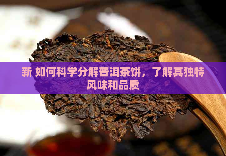 新 如何科学分解普洱茶饼，了解其独特风味和品质