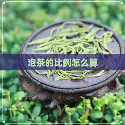 泡茶的比例怎么算