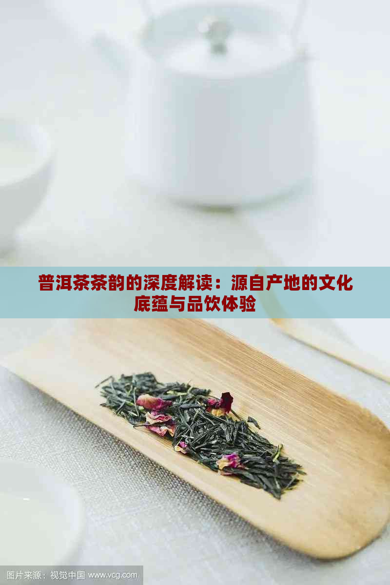 普洱茶茶韵的深度解读：源自产地的文化底蕴与品饮体验