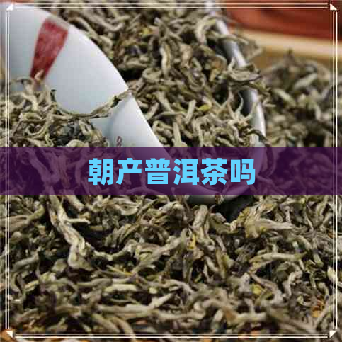 朝产普洱茶吗