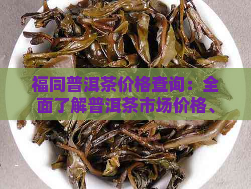 福同普洱茶价格查询：全面了解普洱茶市场价格、品质与选购指南