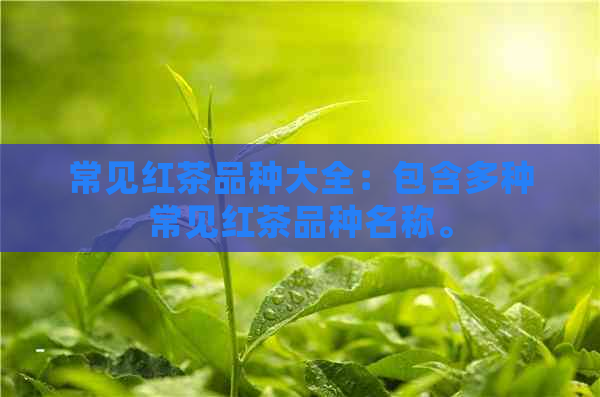 常见红茶品种大全：包含多种常见红茶品种名称。