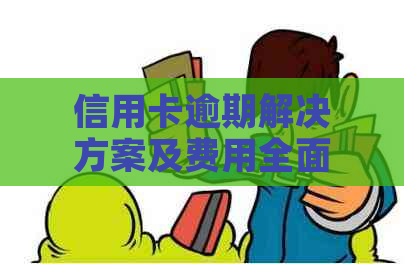 信用卡逾期解决方案及费用全面解析：法务服务价格一览表